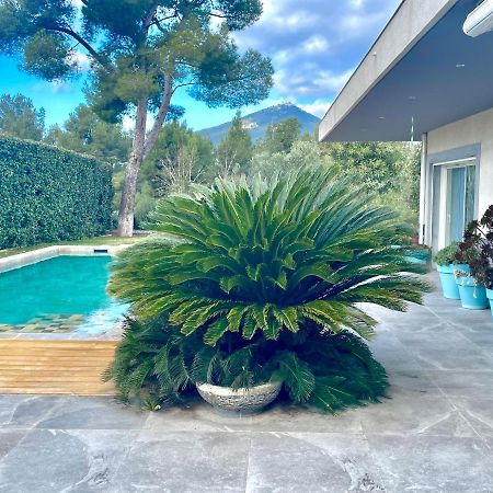 Chambre Luxe Dans Villa De Standing Avec Piscine, Acces Discret Et Independant, Terrasse Arboree Et Parking Prive Ла-Валетт-дю-Вар Экстерьер фото