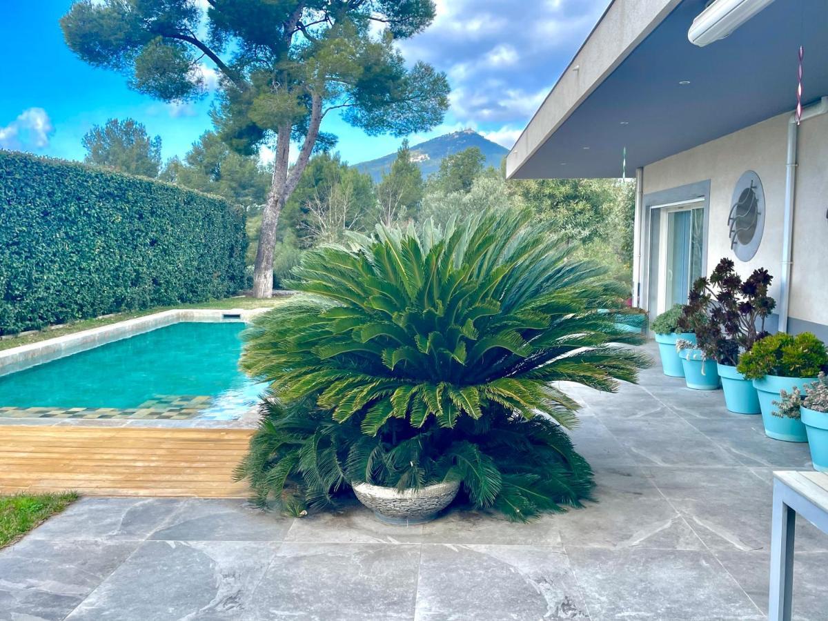 Chambre Luxe Dans Villa De Standing Avec Piscine, Acces Discret Et Independant, Terrasse Arboree Et Parking Prive Ла-Валетт-дю-Вар Экстерьер фото